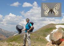A conference in Keystoe, CO, 2003. At 4000m a <i> Parnassius smintheus </i>!                  